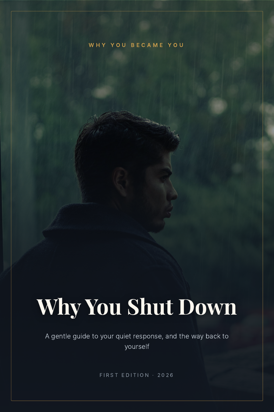 Cover of Why You Shut Down